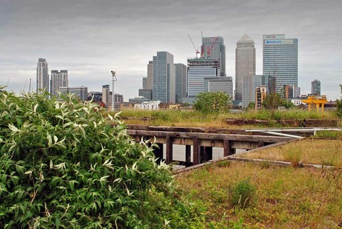 Canary wharf london docklands - london,