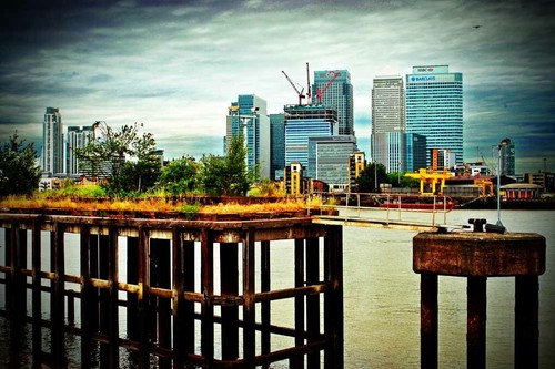 Canary wharf london - canary,